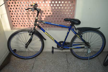 20" Bicycle