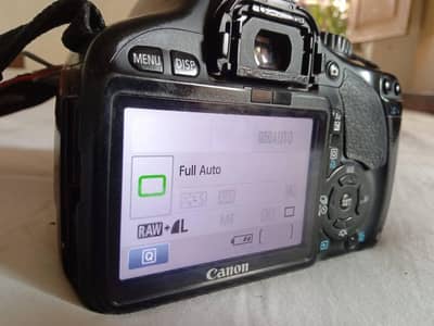 canon 550D with 75-300 lens