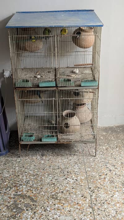 Birds Cage and Birds - Urgent Sale