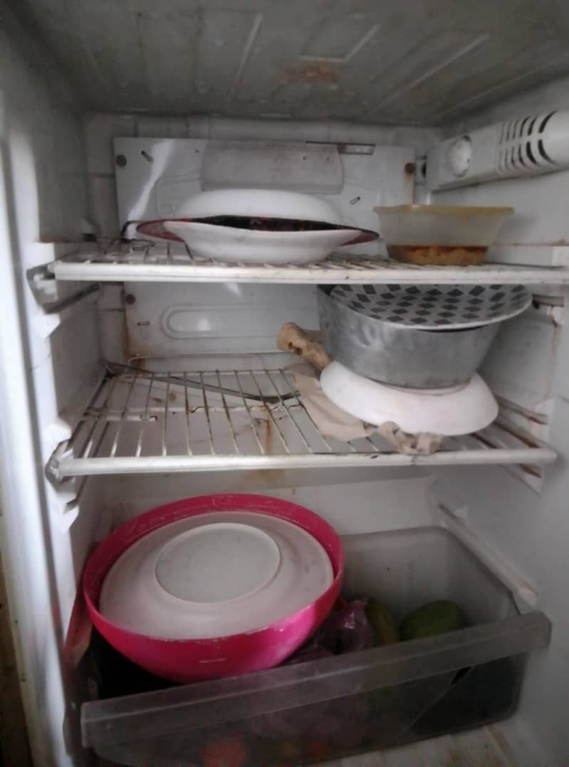 Fridge 2