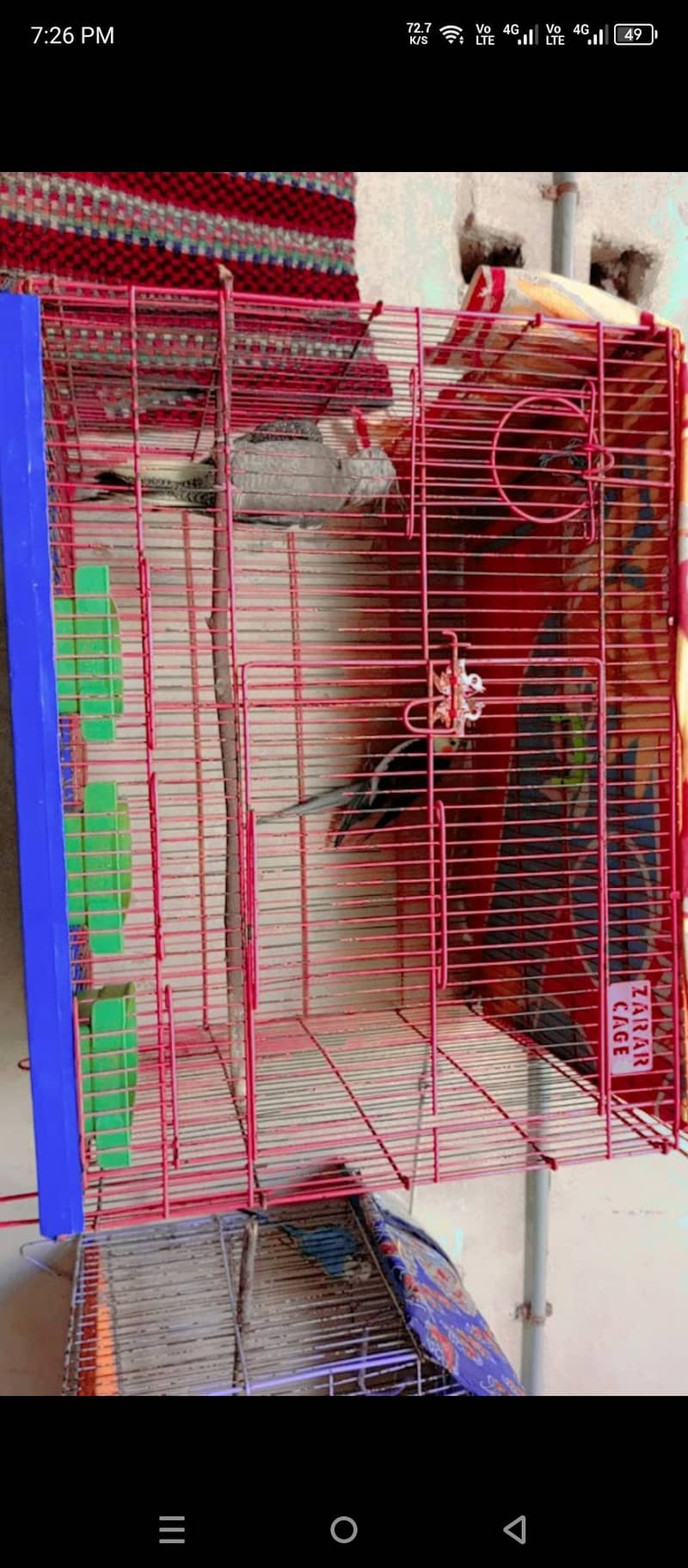 big cage 0