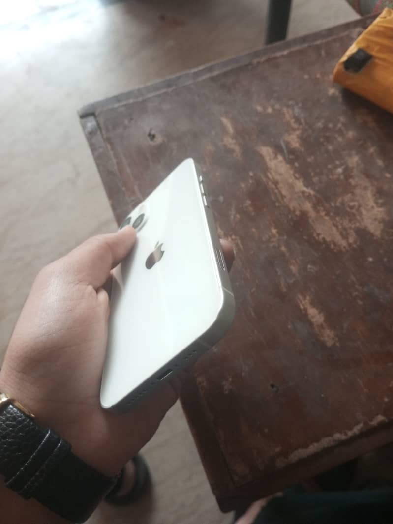 Apple iPhone 13 12