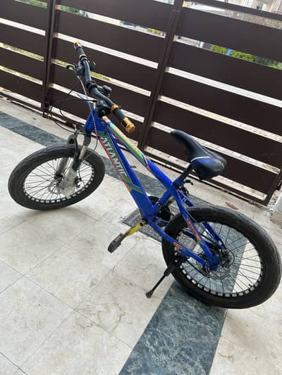 Imported gear bicycle