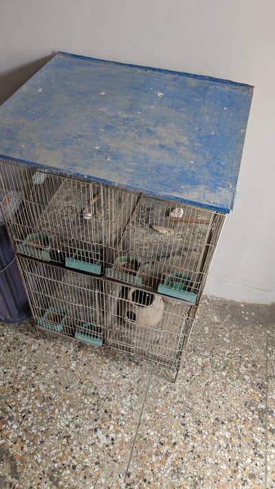Birds Cage And Austrain Parrots - Urgent Sale