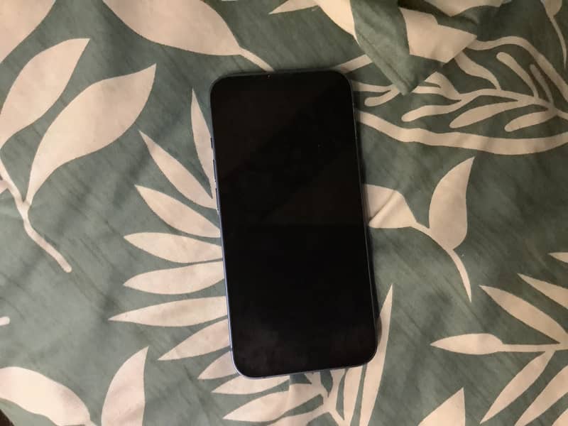Apple iPhone 13 1
