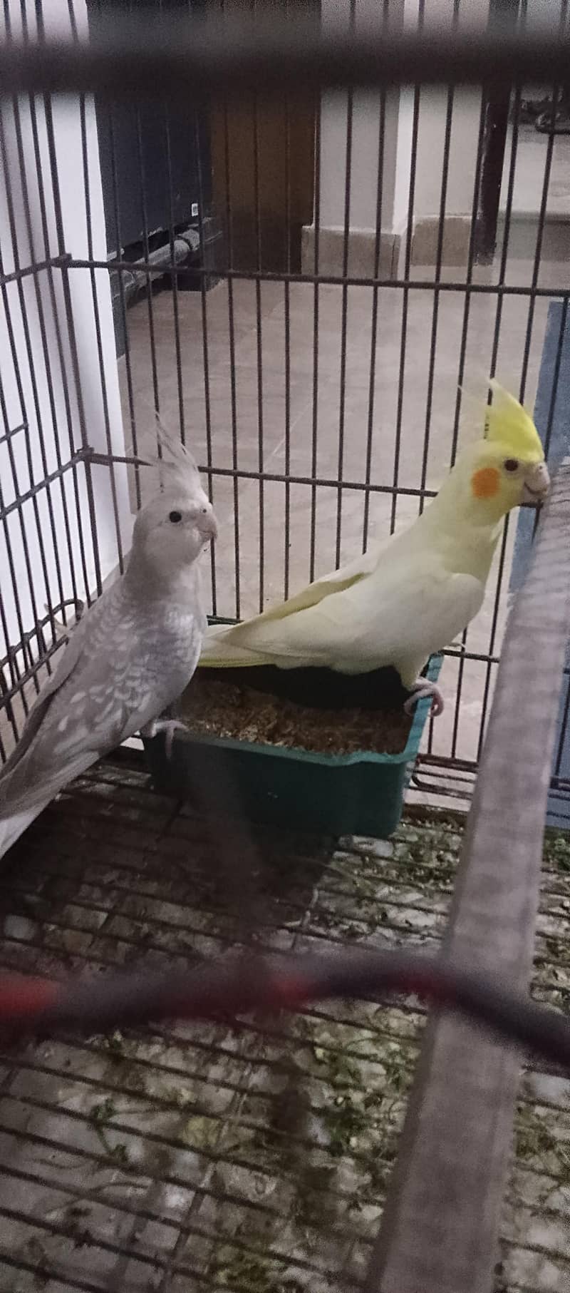 bonded pair 0