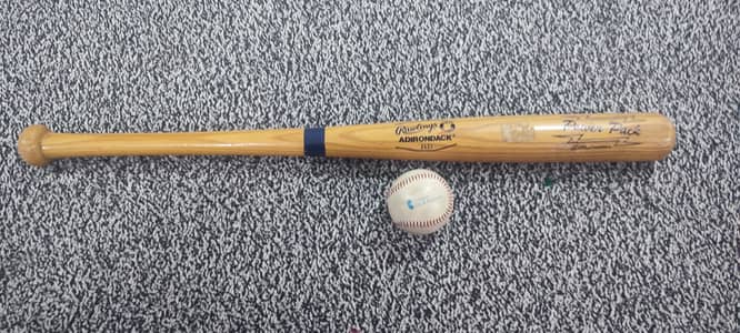 Baseball and baseball bat.