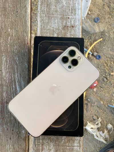 Apple iPhone 12 Pro Max