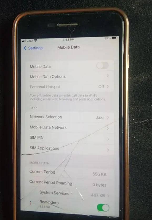 Apple iPhone 7 Plus 1