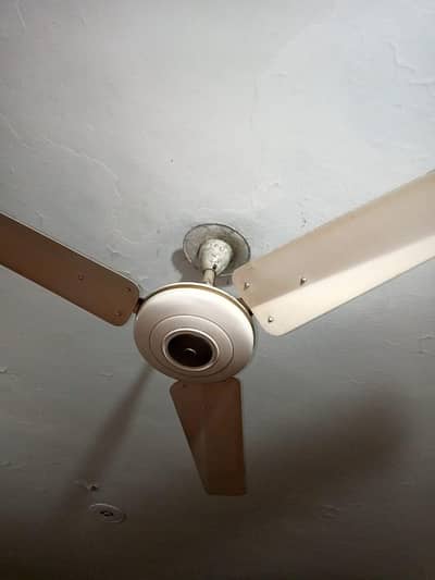 Ceiling fan in good condition 03125848299