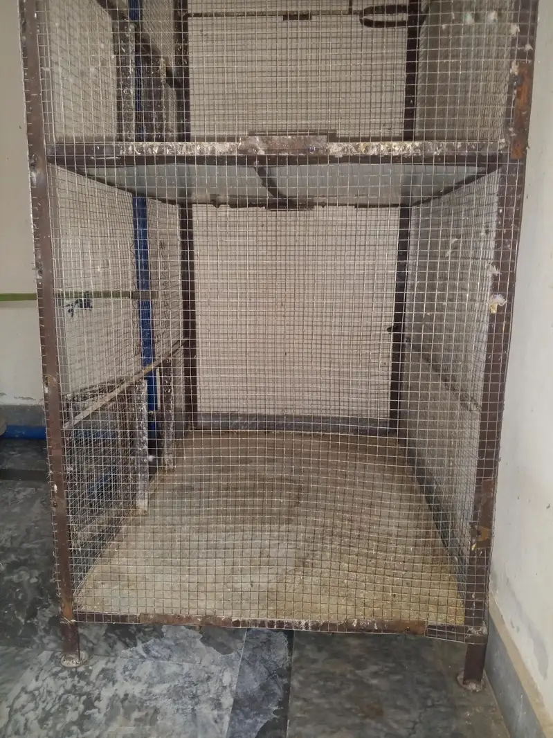 iron cage for birds