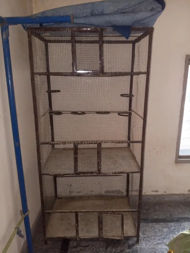 iron cage for birds — photo 3