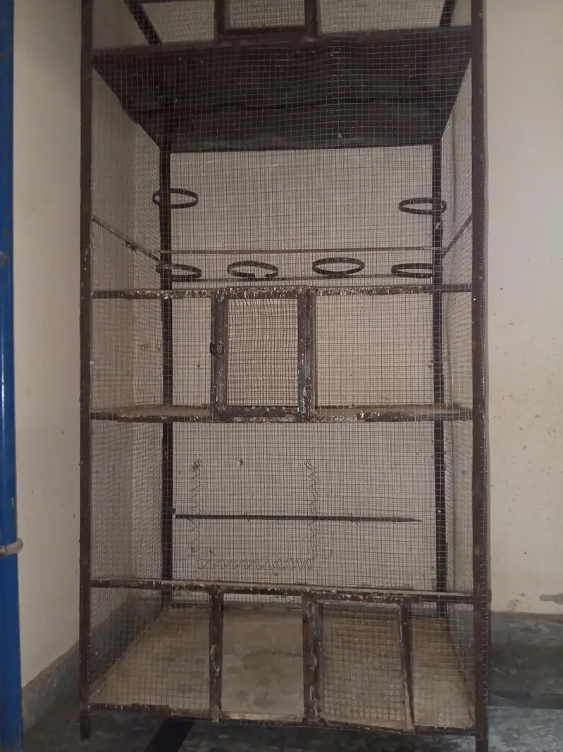 iron cage for birds — photo 4