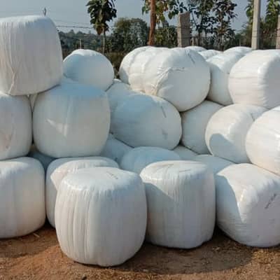 High Quality Silage Available Pindi Islamabad