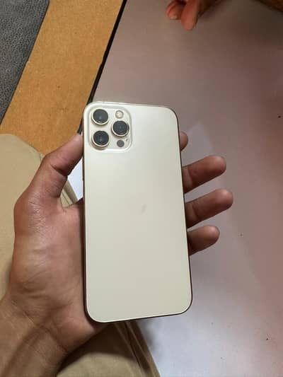 Apple iPhone 12 Pro Max