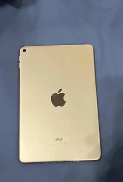 ipad mini 5 10/9 condition