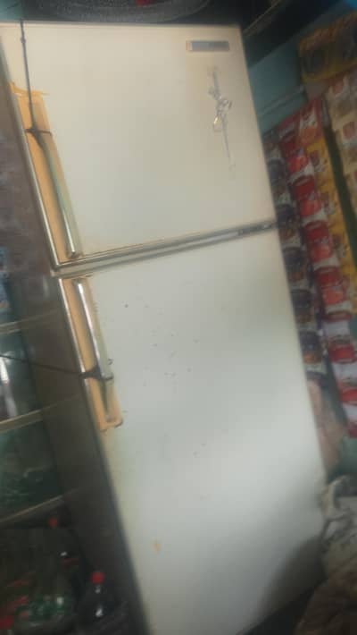 Fradige for sell