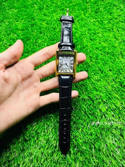A. S watches