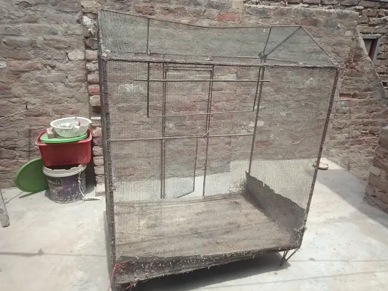 3 cages.  Different sizes
