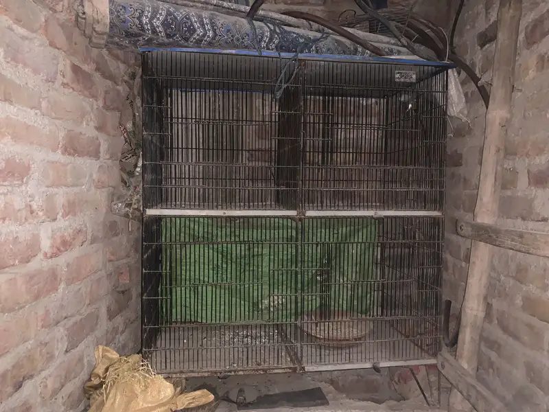3 cages.  Different sizes — photo 8