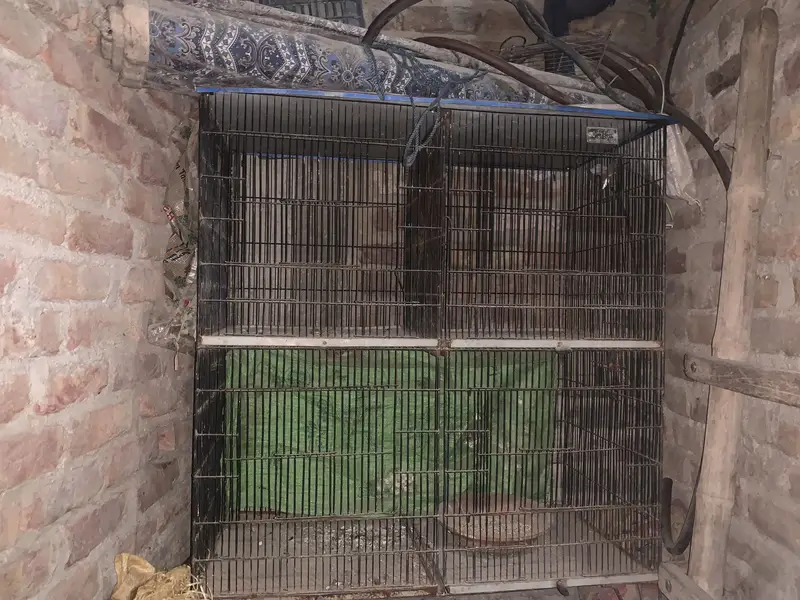 3 cages.  Different sizes — photo 9