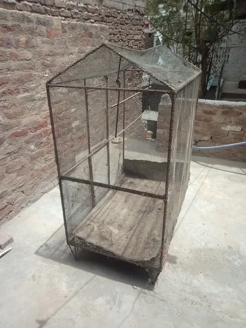 3 cages.  Different sizes — photo 11
