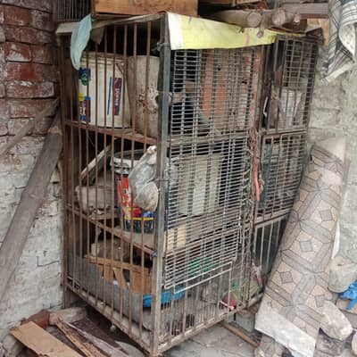 murgi k lia best pinjra ful size for sale