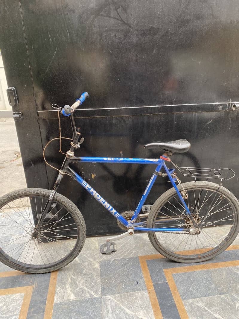 Phoenix Cycle 0