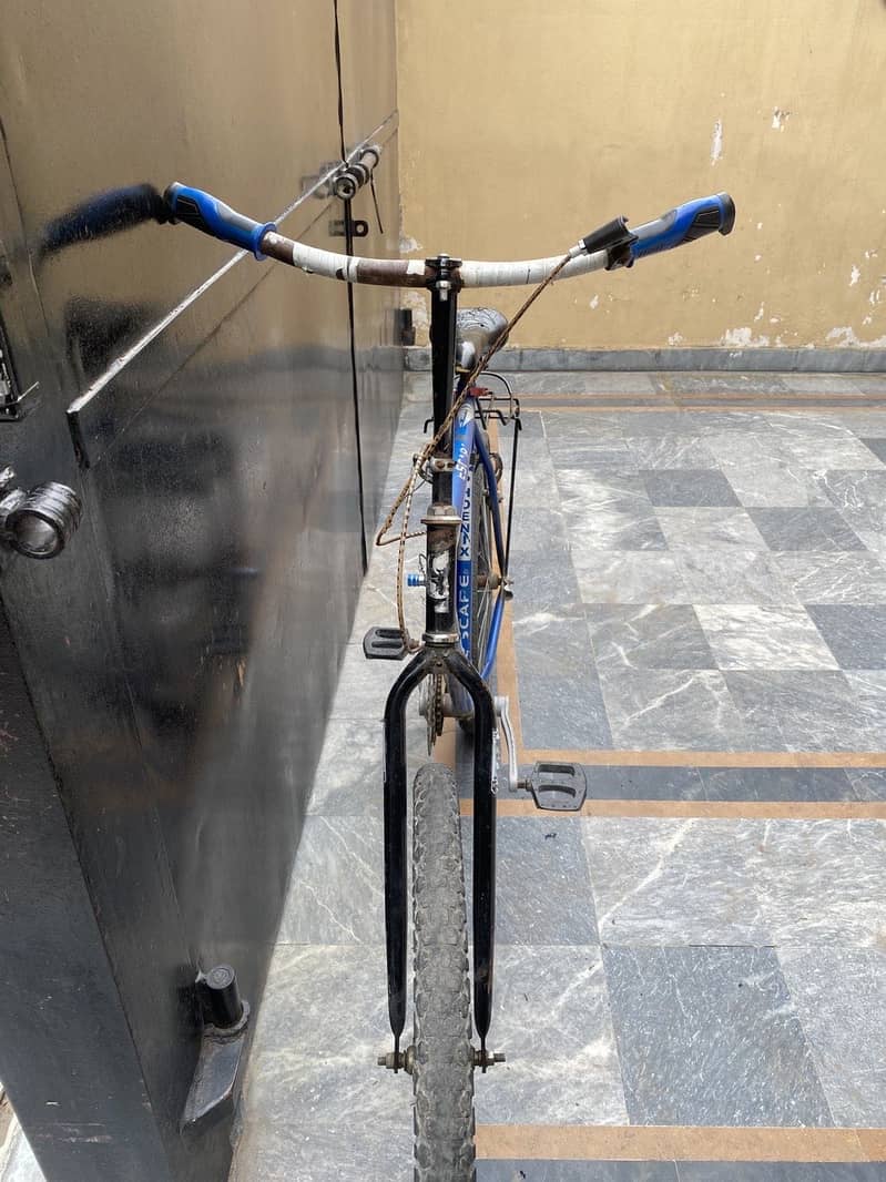 Phoenix Cycle 1