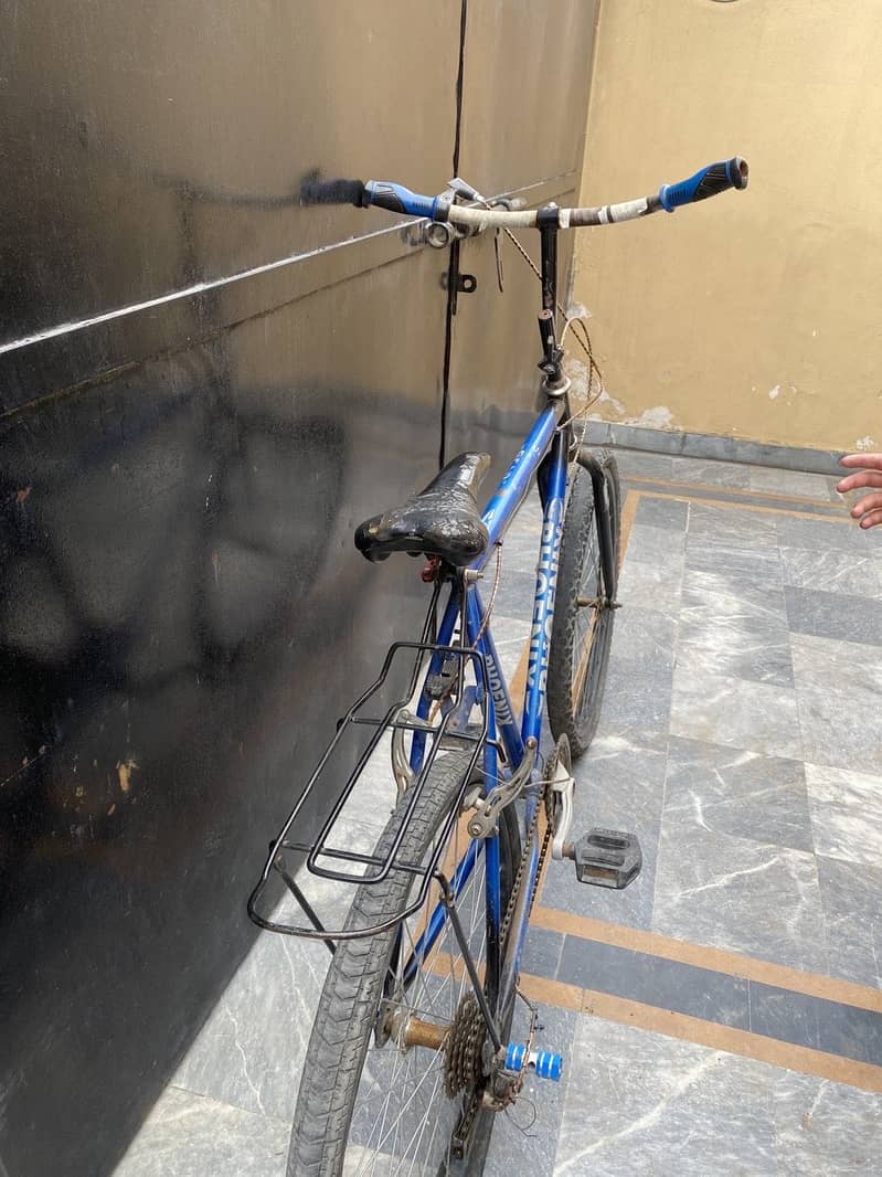 Phoenix Cycle 3