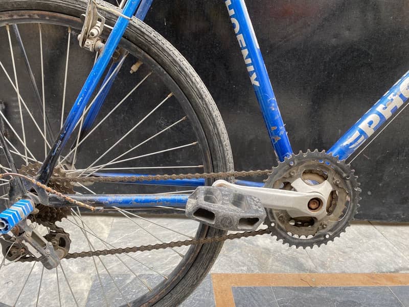 Phoenix Cycle 4