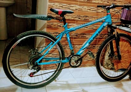 bicycle important brand new 5 month used only 26 Invh ful size