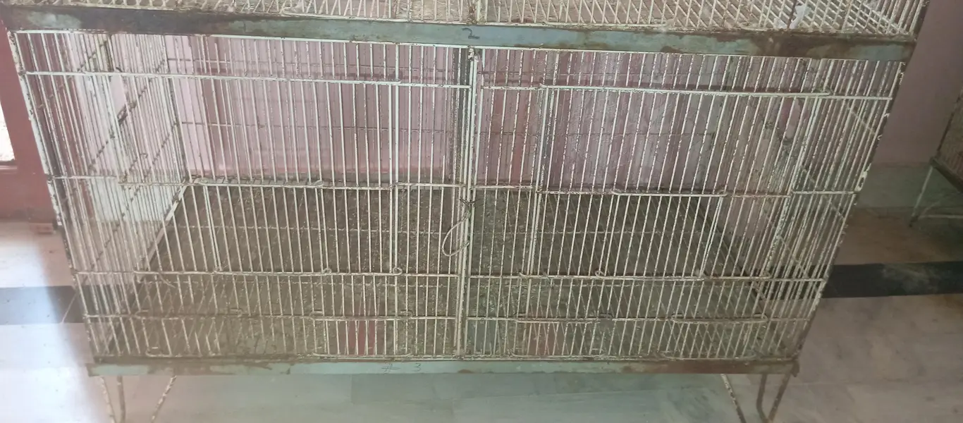 6 portion caje 18×18×18 — photo 2