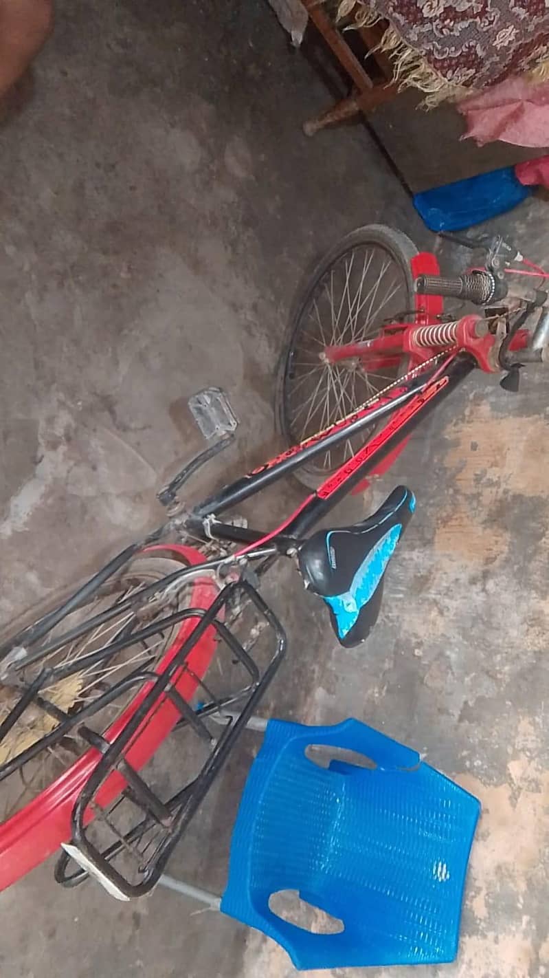 bicycle 3