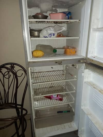 PEL Fridge 12 KG