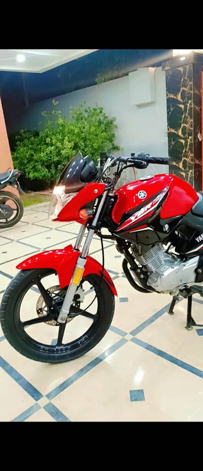 Yamaha YBR 125 2021