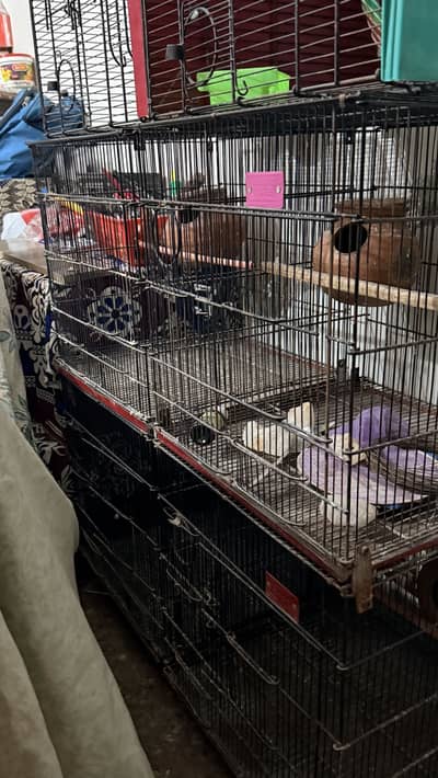 Master Cages For Sale