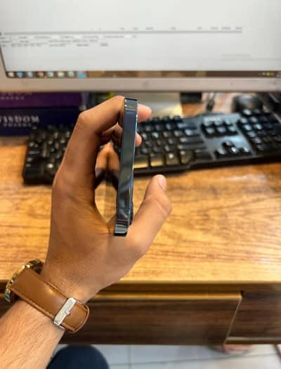 Apple iPhone 12 Pro Max
