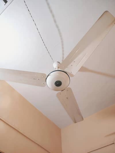 1 Ceiling Fan urgent sell in Full Size