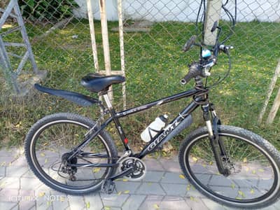 Giant Imported 4100