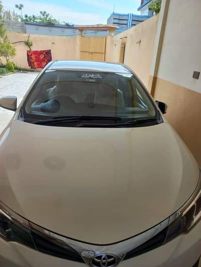 GLi auto 2018 B to B