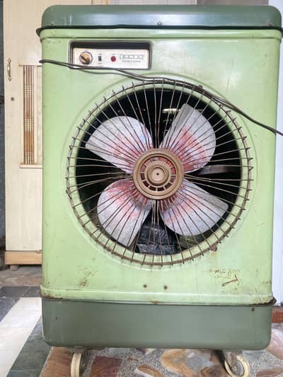 Double motor cool air cooler