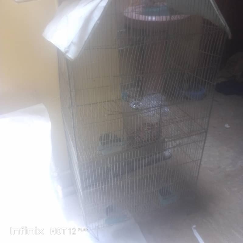 cages 1
