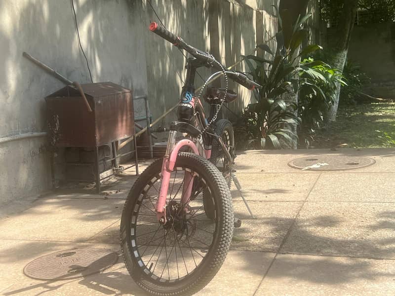 TWO Cycles -- Good Conditon - Fully Serviced 5