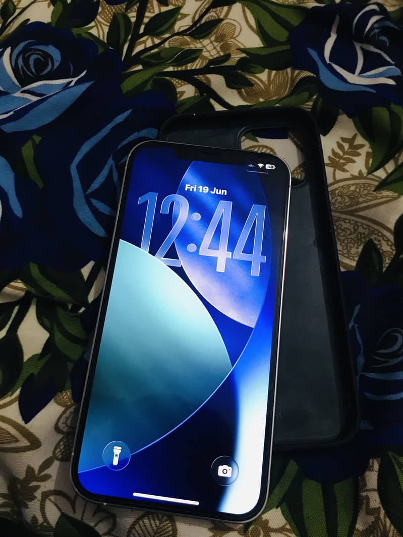 Apple iPhone 12 Pro Max 1