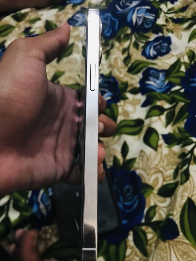 Apple iPhone 12 Pro Max 2