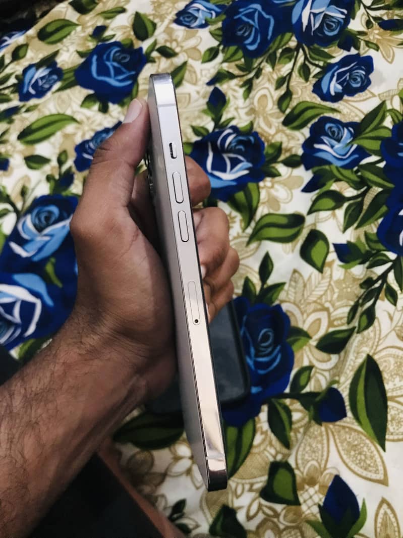 Apple iPhone 12 Pro Max 5