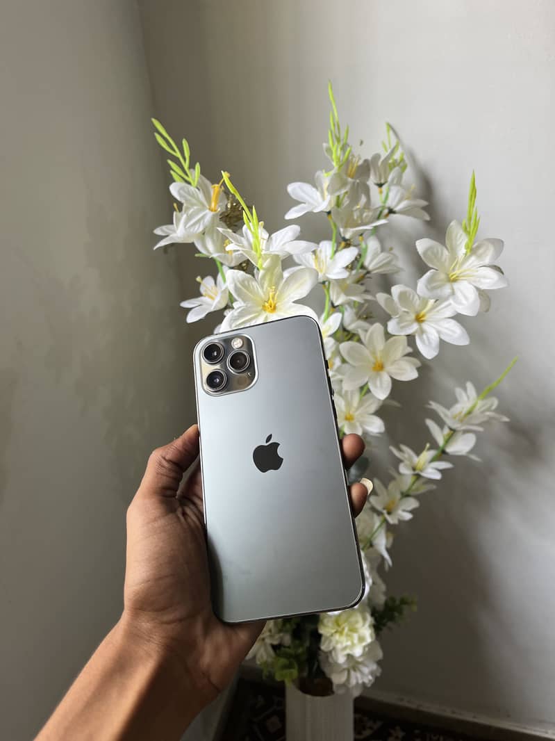 Iphone 12 pro max 0
