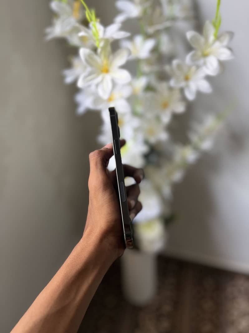 Iphone 12 pro max 1