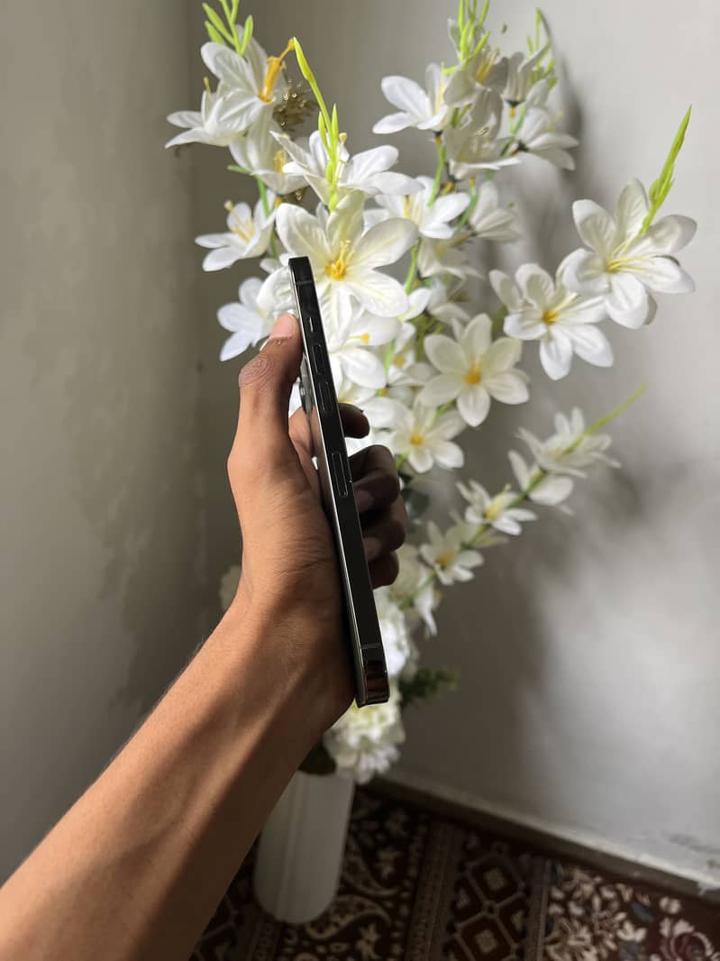 Iphone 12 pro max 2